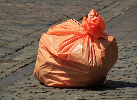 Студенты и школьники собрали в Волго-Ахтубинской пойме 171 мешок мусора